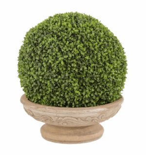 French Topiary
